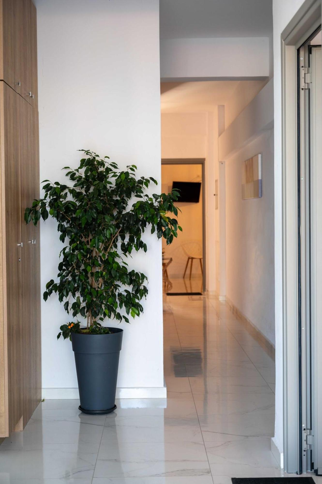 Finikas Suites & Apartments 10Min From Athens Airport 아르테미다 외부 사진
