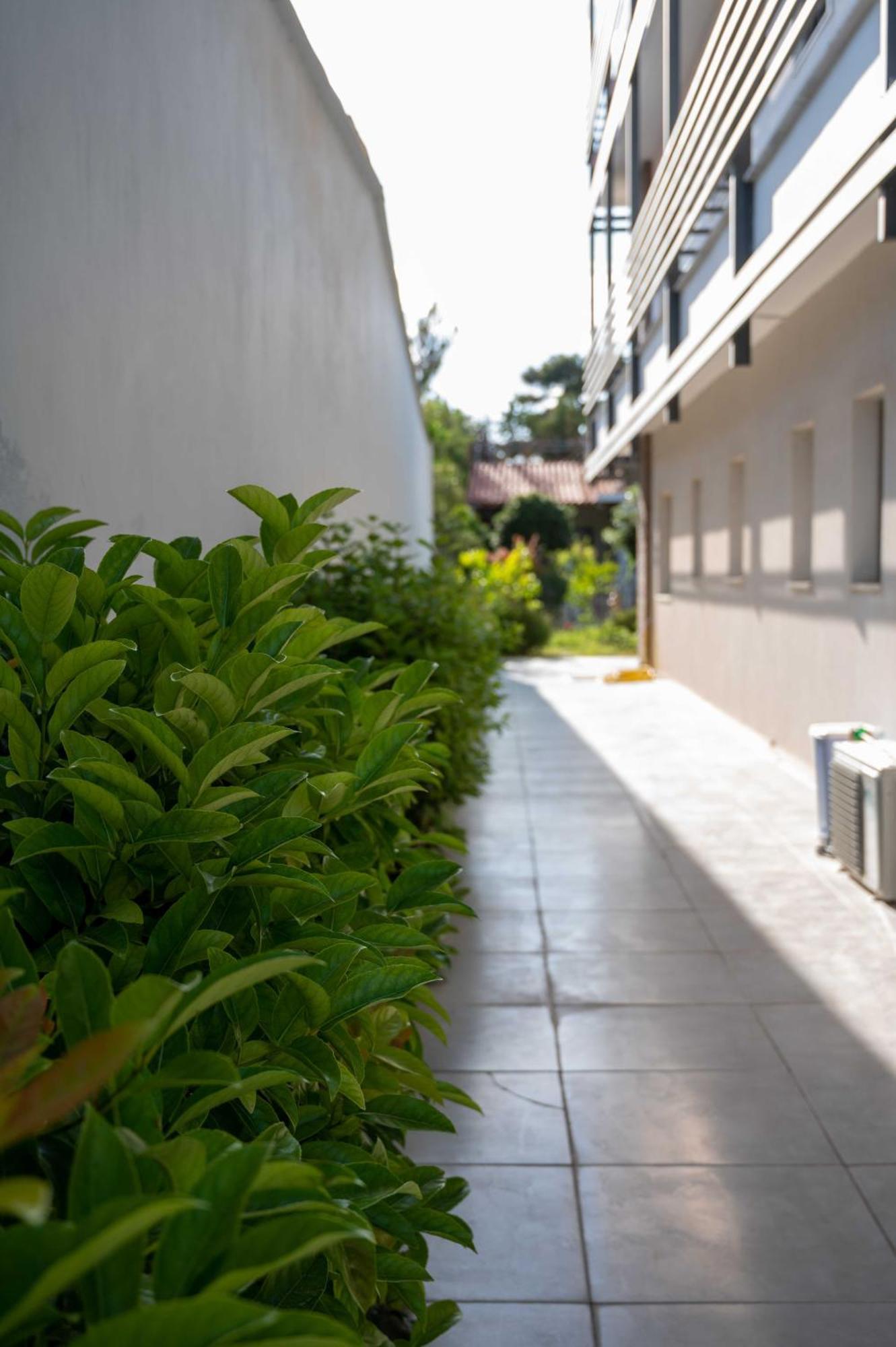 Finikas Suites & Apartments 10Min From Athens Airport 아르테미다 외부 사진